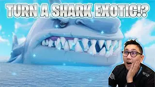 How to turn a shark EXOTIC!