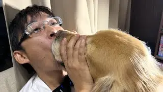 147歳になりました