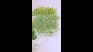 セーラージュピターカクテル作ってみた【まこっちゃん編】#shorts