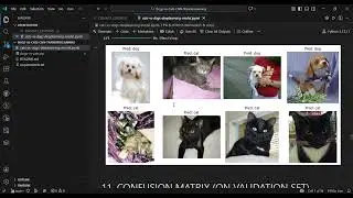 Dogs vs Cats Classification using AI | CNN + Transfer Learning (MobileNetV2)