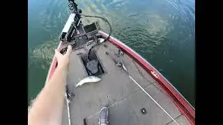 Lake Glenville Bass