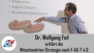Leistungssprung im Ausdauersport - Dr. Feil erkl&auml;rt die Mitochondrien-Strategie