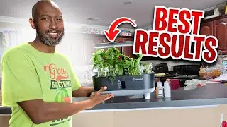 Самая простая гидропонная система! Growell
