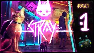 Stray Walkthrough 100% Gameplay Part 1 (PS5) No Commentary