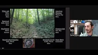 Feb 12, 2024 Tree Stories Dr Noah Charney