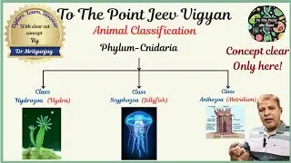 Phylum: Cnidaria #hydrozoa #scyphozoa #anthozoa #hydra #jellyfish #metridium 