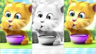 Говорящий кот Том 🤪💥😂🤓 #видео #смешно #4