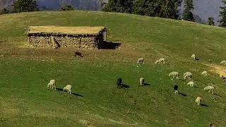 MUNJAG TOP(मुंजग धार) TREK 2022 (MUNJAG TOP)