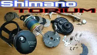 Shimano Torium 30hg-L bongkar