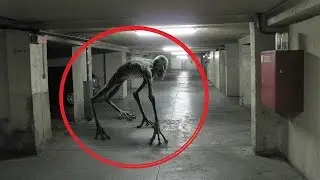 12 Species of Aliens