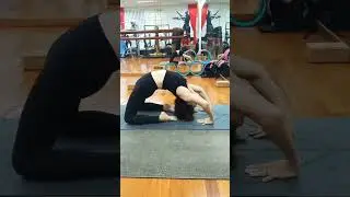 Pigeon Pose Yoga #elemityoga #shorts #backbendyoga #youtubeshorts #yogawithamit #yogasg