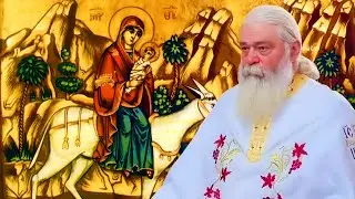 Duminica după Nașterea Domnului , Fuga în Egipt - Parintele Calistrat