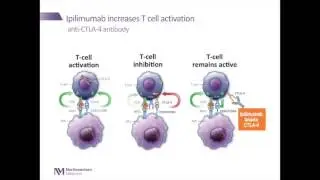 Personalized Care For Advanced Disease