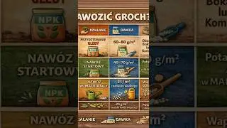 Jak nawozić groch organicznie lub mineralnie terminy i dawki #ogr&oacute;d #uprawa #groch #farmer #garden