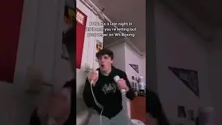 Angry Wii Boxing in 2010 be like