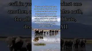 Yahuah desires us to walk in truth, justice, and peace with one another #followeroftheway #yahuah
