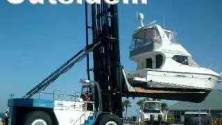 Wiggins Marina Bull
