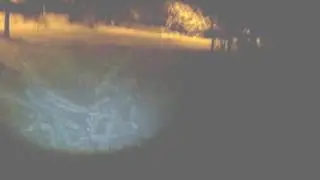 Winter Night running in the woods