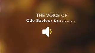 Cde S.Kasukuwere We handled the Grace Mugabe Rallies Badly , We Made a Mistake Interview by Tendai M