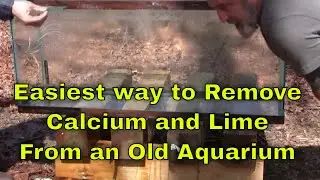 Aquarium Calcium and Lime Removal DIY - Remove Calcium and Lime Stains
