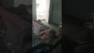 peaceful relaxing  vlog January 31, 2026 #peaceful #vlog