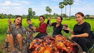 Great Food Picnic At Paddy Field Near My House With Funny Meal