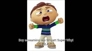 Boy screaming like Whyatt Super Why! Sound Audio 