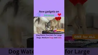 New gadgets on Amazon: Dog Water Fountain for Large Dogs, Medium Dogs and Cats #shorts