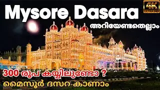 Mysore Dasara Festival 2025 | World Record 3000 Drones Show, Palace Lighting & Street Food Tour