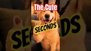 😜TICK TICK😦132 THE CUTE- SECONDS🔔 😜RAW AND RELEASED