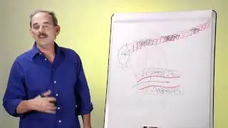 ¿Cuánto Tiempo Permanecen Las Drogas En Tu Cuerpo?