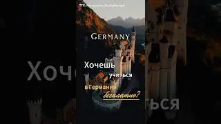 DAAD 2026: Учёба в Германии бесплатно? 🇩🇪