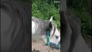 ma vie pendant que je met des remis ❤️
