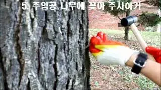 tree injection 압력식 수간주사 방법.wmv