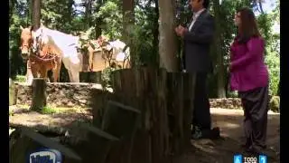 Cambio de mosca de laSexta3 a laSexta3 Todo Cine