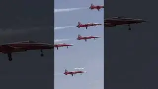 Swiss Air Force F-5E Tiger II #shorts #airshow #f5 #fighterjet