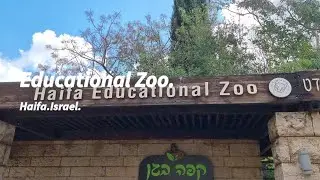 Educational Zoo in Haifa.Образовательный Зоопарк в Хайфе.Израиль.גן חיות חינוכי בחיפה