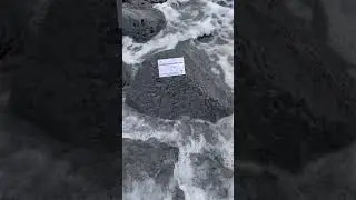 Sea-washed section of a basalt column
