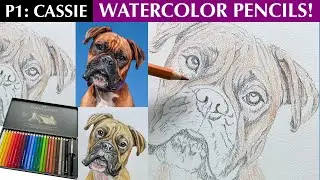 Part 1: Cassie Drawing Base Layer in Watercolor Pencils!
