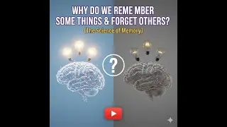 Why Do We Remember Some Things but Forget Others? | The Science of Memory Explained