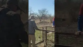 Adjusting our spring loaded Hog Trap