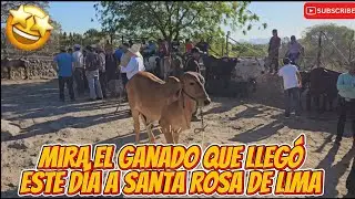 Tiangue de Santa Rosa de Lima, La Unión 