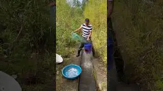 Catching Huge Fish Without a Net