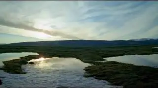The Smoke Saves Lives - Kyte (Planet Earth BBC)
