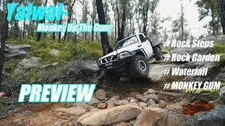 Yalwal 4x4 - Monkey Up The Gum