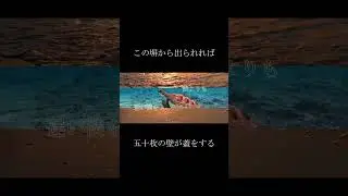 五十枚の壁が蓋をする feat.宮舞モカ & mai