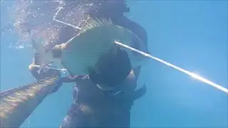 pescasub saragone
