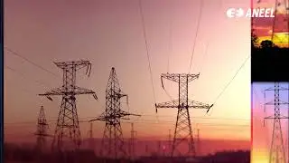 Leil&otilde;es de Transmiss&atilde;o de Energia El&eacute;trica