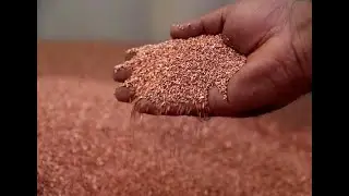 PVC cable wire crushing and separating machine