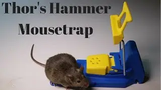 Thor's Hammer Mousetrap From Sweden. The Mj&ouml;lner Mouse Trap.